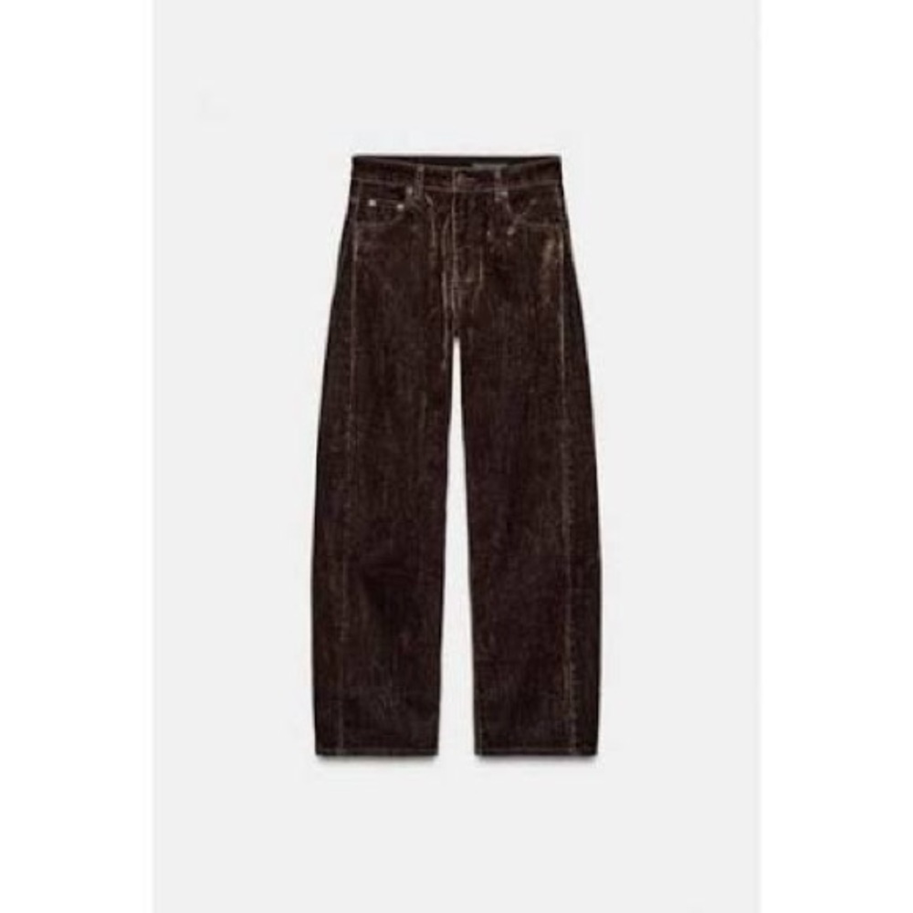 NWOT Zara Flocked Balloon Pants
